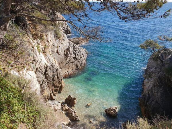Апартаменти Clos Victor Spacieux 2 Pieces Тулон Екстер'єр фото